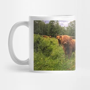 Scottish Highland Cattle Calf 2031 Mug